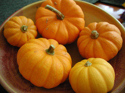 ../images/pumpkins.jpg