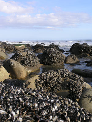 ../images/15_beach.jpg