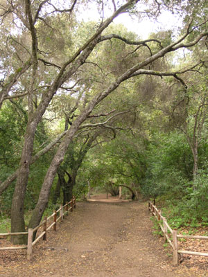 ../images/27_trail.jpg