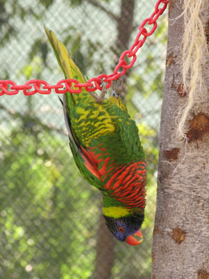 ../images/46_hanging.jpg