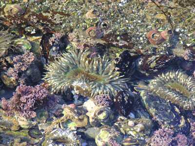 ../images/59_underwater.jpg