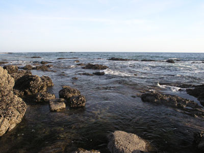../images/60_pacific.jpg