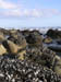 15_beach