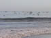 20_gulls