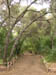 27_trail