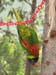 46_hanging
