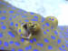 56_spottedray