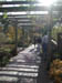 winery_trellis