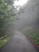 18_roanoke_mtn_road