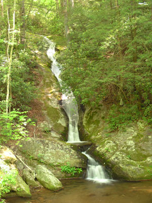 ../images/35_sr1362waterfall.jpg