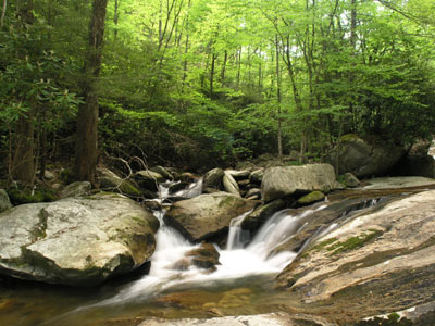 ../images/48_uppercreek.jpg