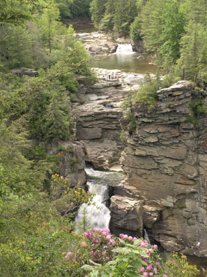 ../images/55_linvillefalls.jpg