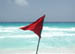 2_red_flag