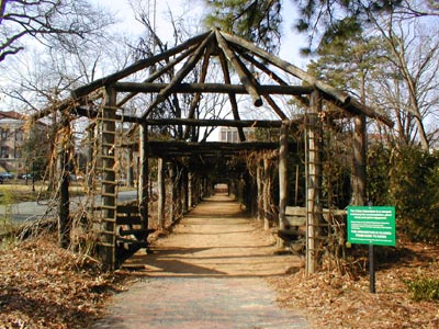 ../images/05_wisteria_walkway.jpg