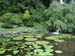 garden_pond