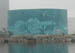 tue_manatee_citgo