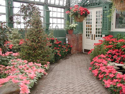 ../images/14_walkway.jpg