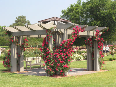 ../images/11_rosegazebo.jpg