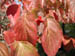 03_fall_berries