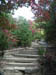 04_hanging_rock_trail