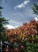 09_blue_sky