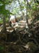 17_leandra_climb