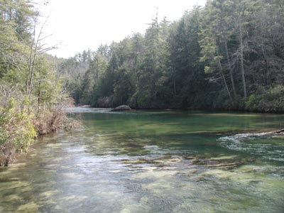 ../images/07_chattooga_river.jpg