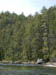 10_chattooga_trees