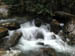 16_darnell_creek_cascade