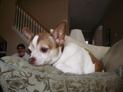 ../images/04_lucky.jpg