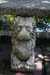 14_lion