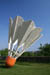 15_shuttlecock