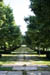 17_shadypath