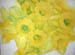 32_jonquils