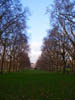 22_greenpark