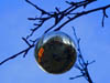 30_ornament