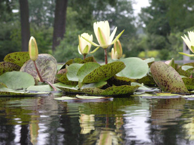 ../images/12_reflection.jpg