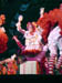 19_ragdolls