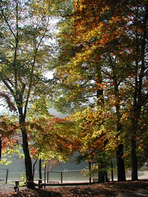 ../images/13_vogel_morning.jpg