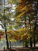 13_vogel_morning