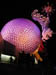 28_sphere_nighttime