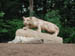 08_lion_shrine