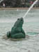 31_swannfountainfrog