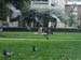 58_birdsinflight