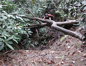 ../images/10_eric_climb.gif