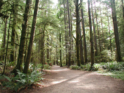 ../images/12_merry_falls_trail.jpg