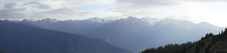 ../images/23_hurricane_ridge.jpg