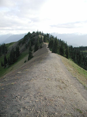 ../images/25_trail_ridge.jpg