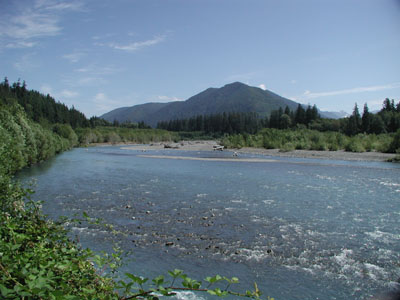 ../images/33_hoh_river.jpg