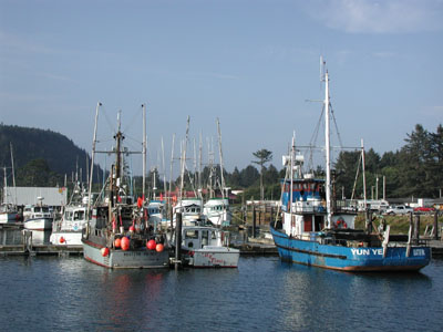 ../images/42_lapush_boats.jpg